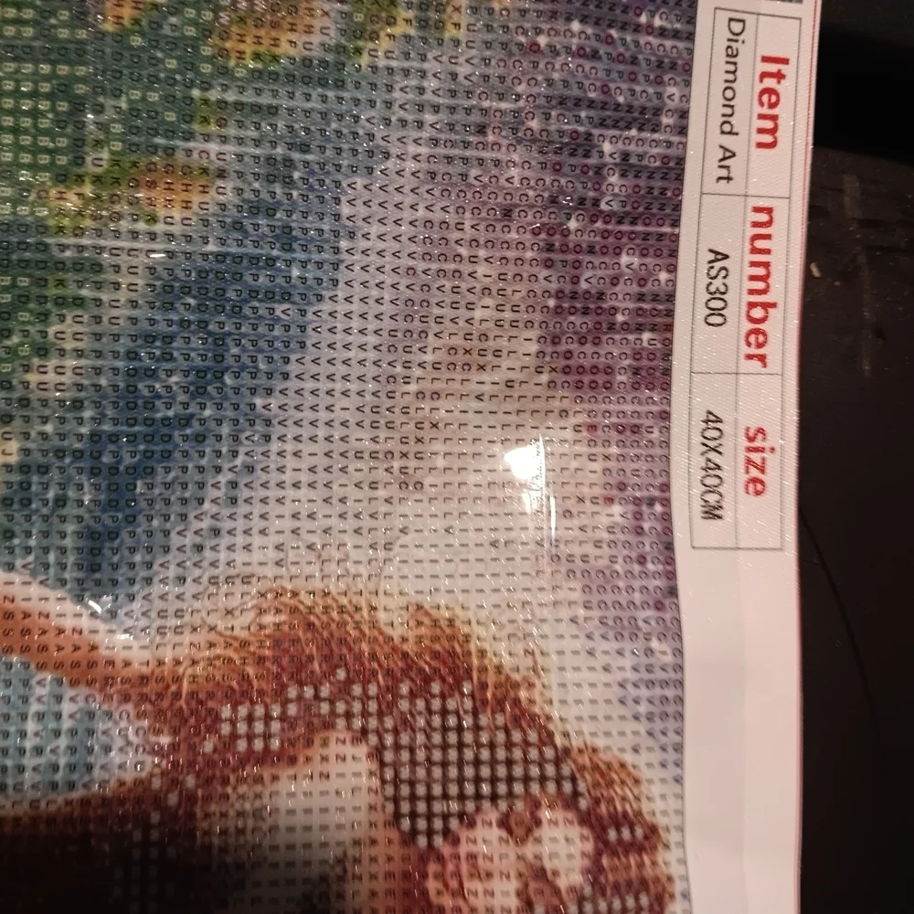 Elegant Diamond Art Paint Kit with Woman in Gown 40x40